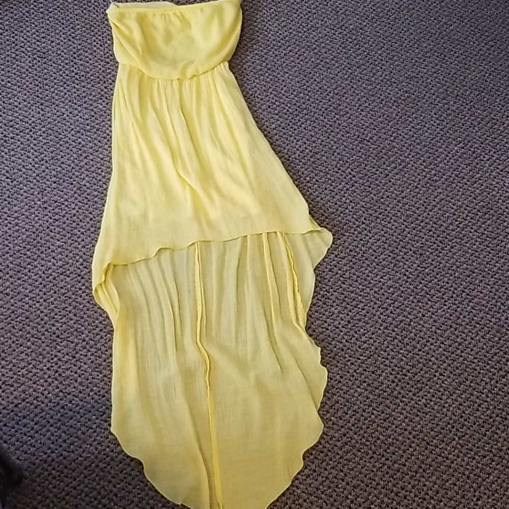 Sundress/Maxi Dress
